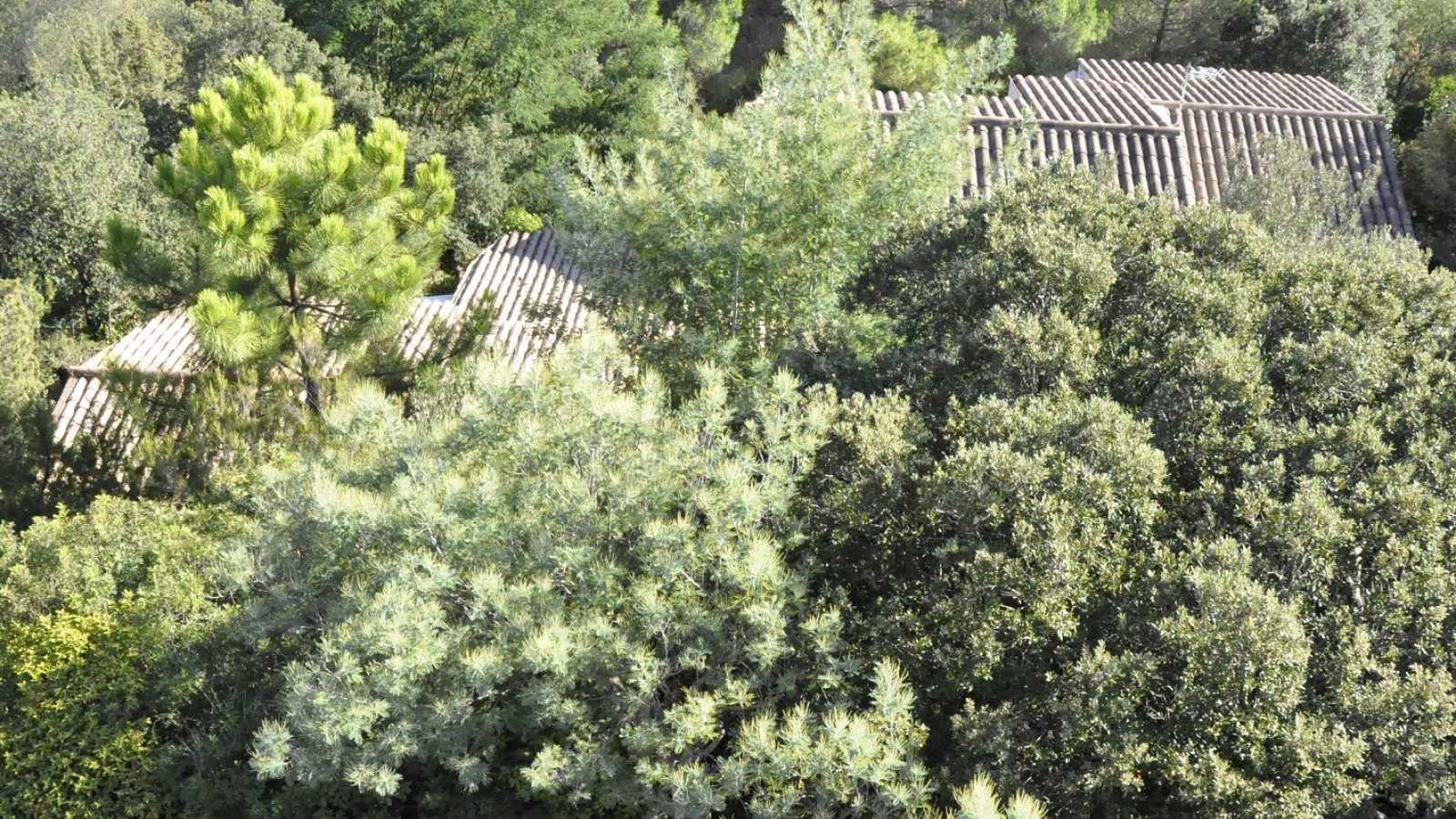 Hôtel Calme à Lecci — Corse du Sud | Private Hotel Corsica